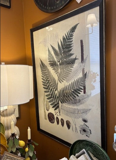 Artwork Collected Ferns IV Framed Print