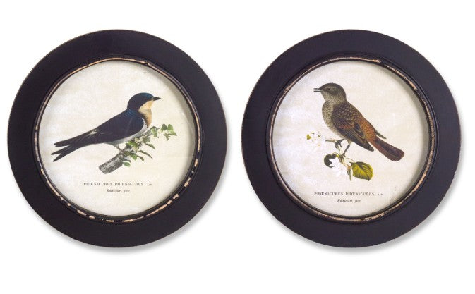Framed Round Bird Print