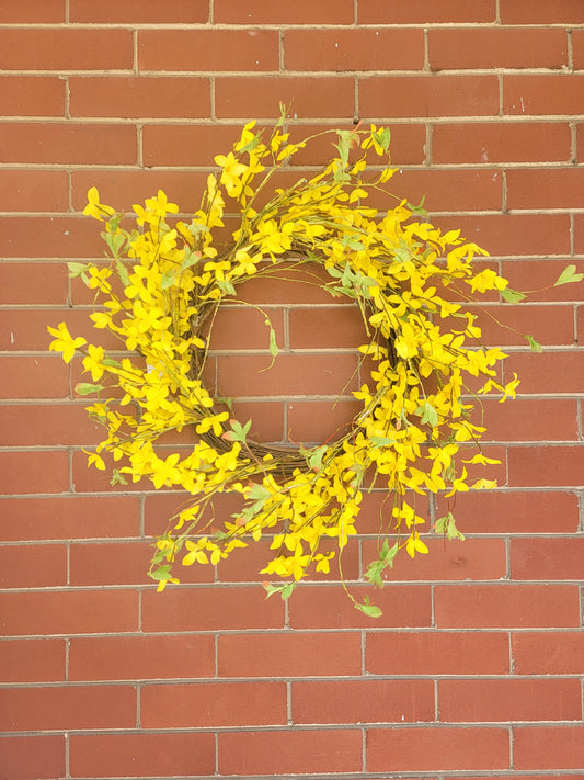 22" Forsythia Wreath