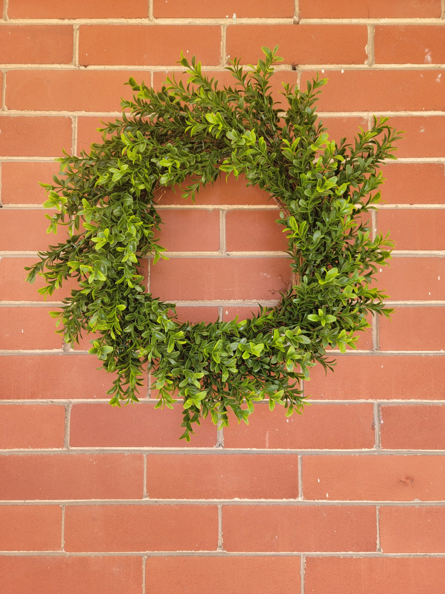17" Boxwood Wreath