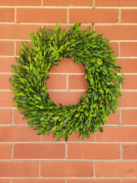 17" Preserved Boxwood Wreath
