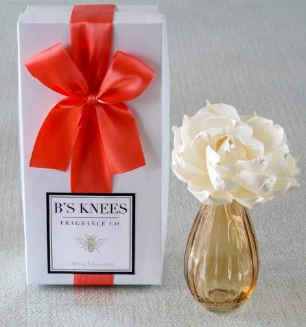 B's Knees Fragrance Diffusers and Candles