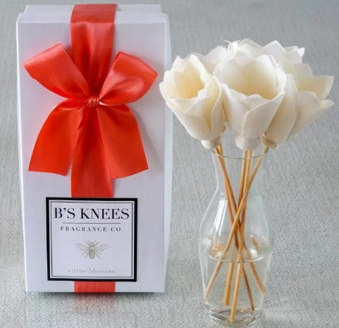 B's Knees Fragrance Diffusers and Candles