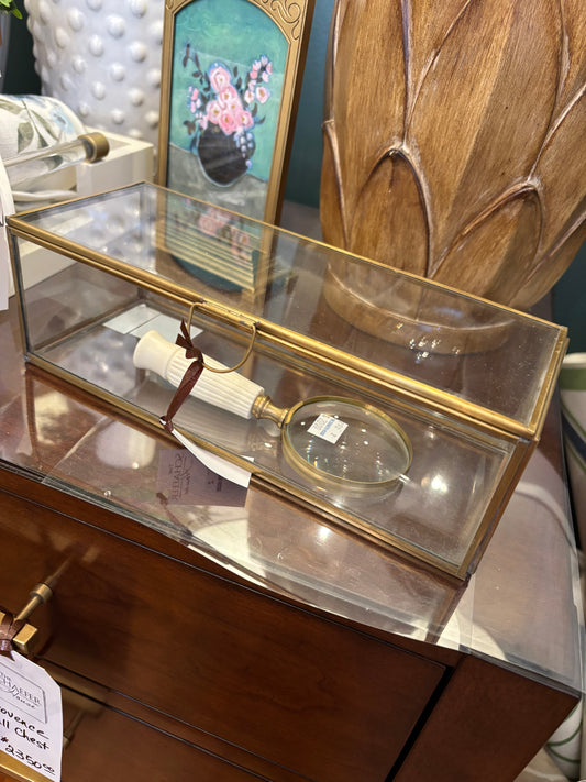 Brass and Glass Decorative Display Box Long